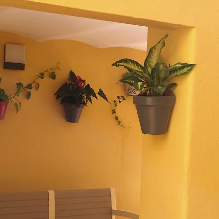 Rcbcaleros Cáceres Exterior foto